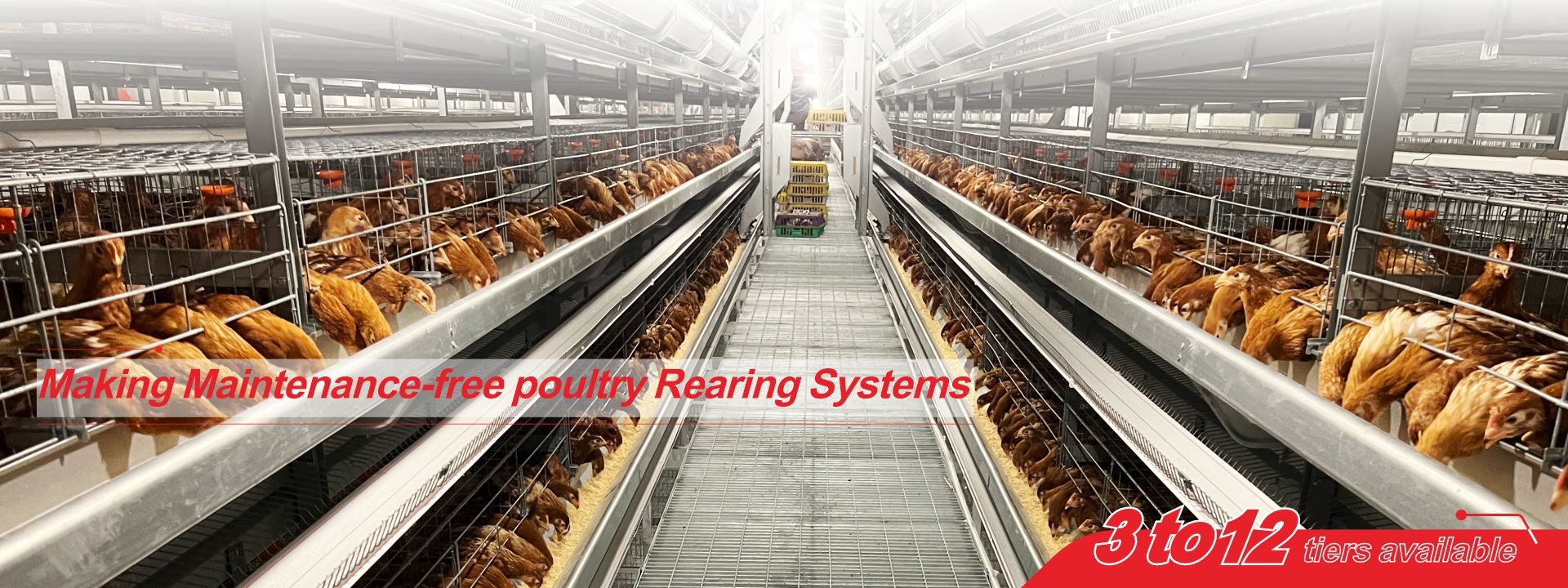 Qualität Batteriekäfigsystem für Geflügel usine