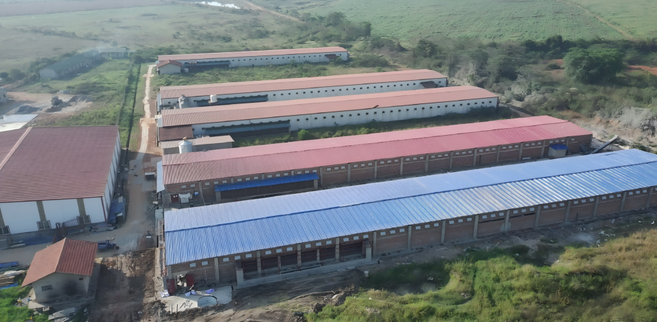 Uganda 1 Millionen Schichten Projekt