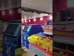 Farmrob 99,8% Genauigkeit Intelligenter Eierzähler 25W 220V 50HZ ISO9001 zugelassen