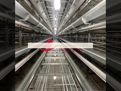 Kostengünstiges Schichthennenkäfigsystem aus Stahl Q235