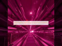 80000 Hygienische Schicht Hühnerkäfig-System für pakistanische Farmen