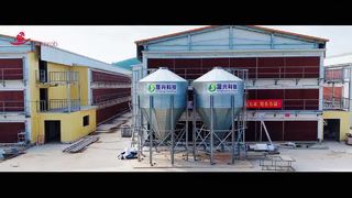 Farmrob | 4-Millionen-Schichten-Projekt in Guangdong, Südchina