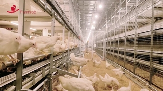 Farmrob-Wohlfahrtssystem